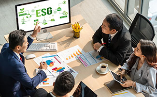 Domain experts