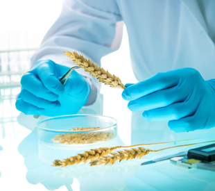 Food Safety Metrics