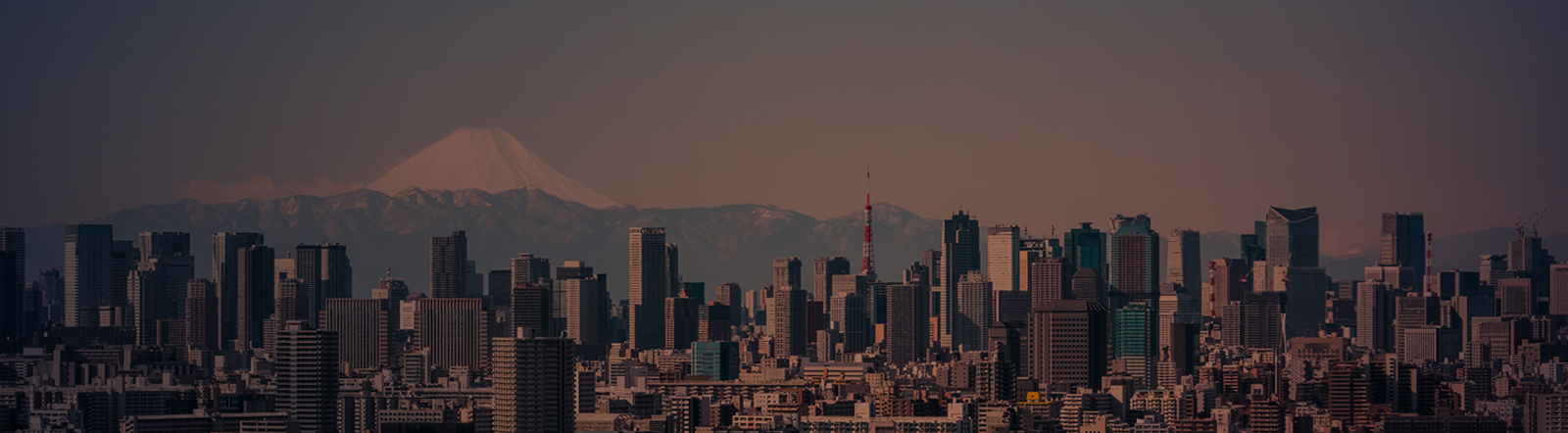 Japan’s reimbursement mechanism for innovative pharmaceutical products