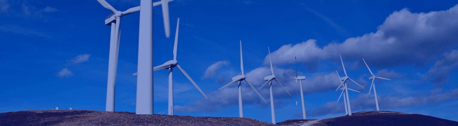 Floating Offshore Wind Farms Set to Drive Renewable Energy Growth